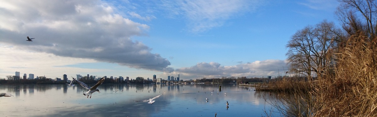 kralingse plas winter.jpg